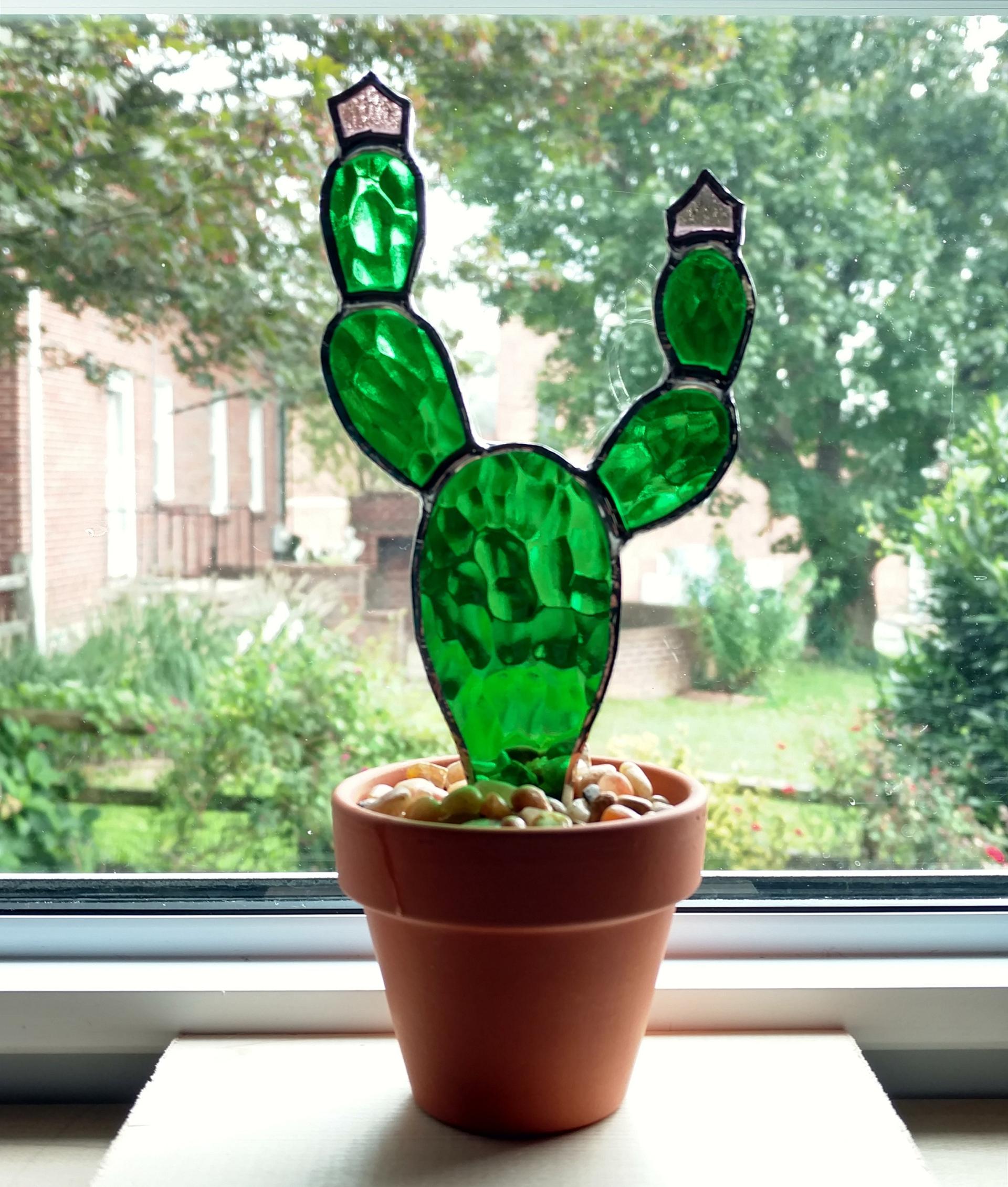 Stained Glass Cactus-Prickly outlets Pear